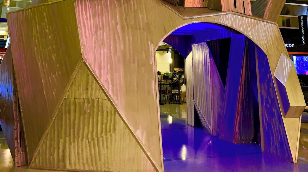 Airport art Texas style