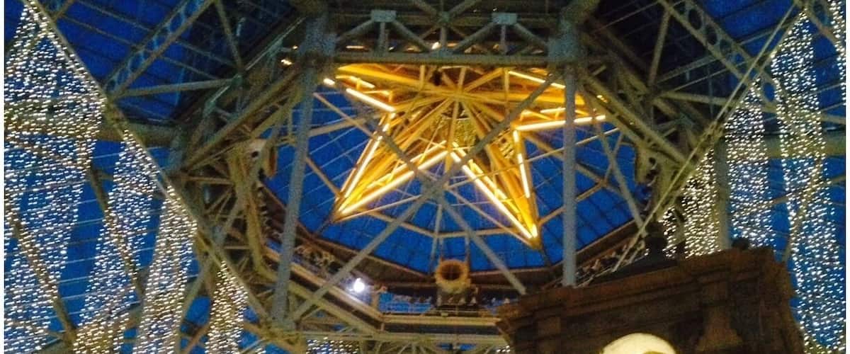 View upward of the atrium, great time to go, it's decorated for the holidays and they have a big ice sculpture exhibit!