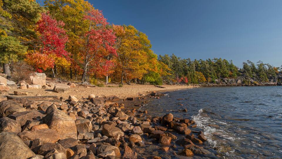 A rocky shoreline with autumn-colored trees and a clear blue sky.