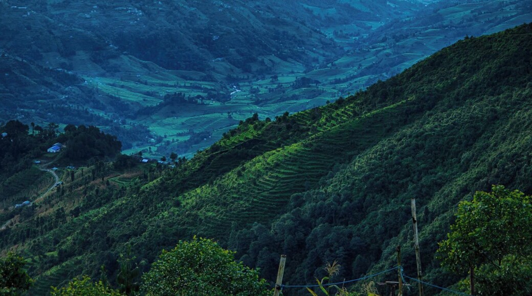 6am in the Himalayas - looking east towards Everest. You can see the peak rising to the left in the distance. #green