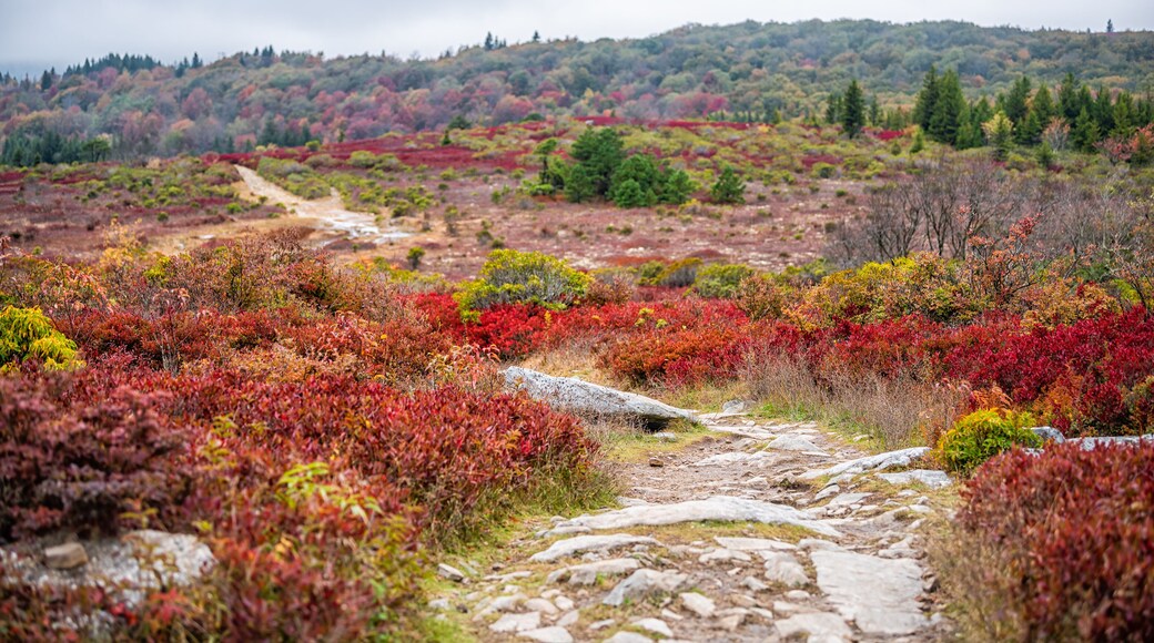 Huckleberry Trailhead