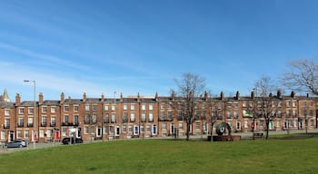 View from The Liner car park.