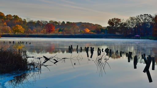 The last of the fall colors, with one lone, bright red tree at my local county park. Taken early in the morning while the steam was still rising on the water. #Red #Colorful #Reflections