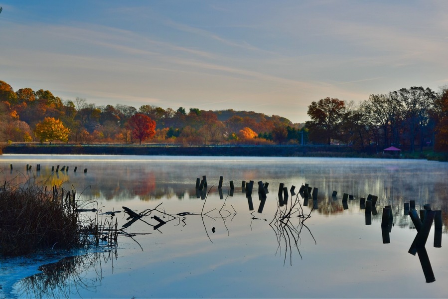 The last of the fall colors, with one lone, bright red tree at my local county park. Taken early in the morning while the steam was still rising on the water. #Red #Colorful #Reflections
