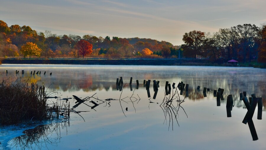 The last of the fall colors, with one lone, bright red tree at my local county park. Taken early in the morning while the steam was still rising on the water. #Red #Colorful #Reflections