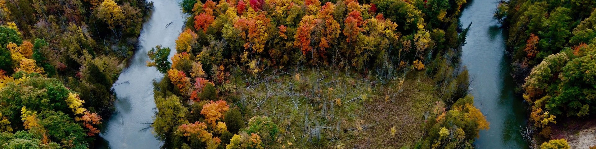 A river surrounded by dense forest with autumn foliage.