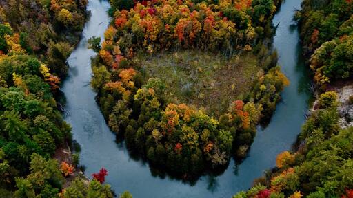Greenwood