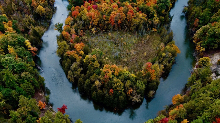 A river surrounded by dense forest with autumn foliage.