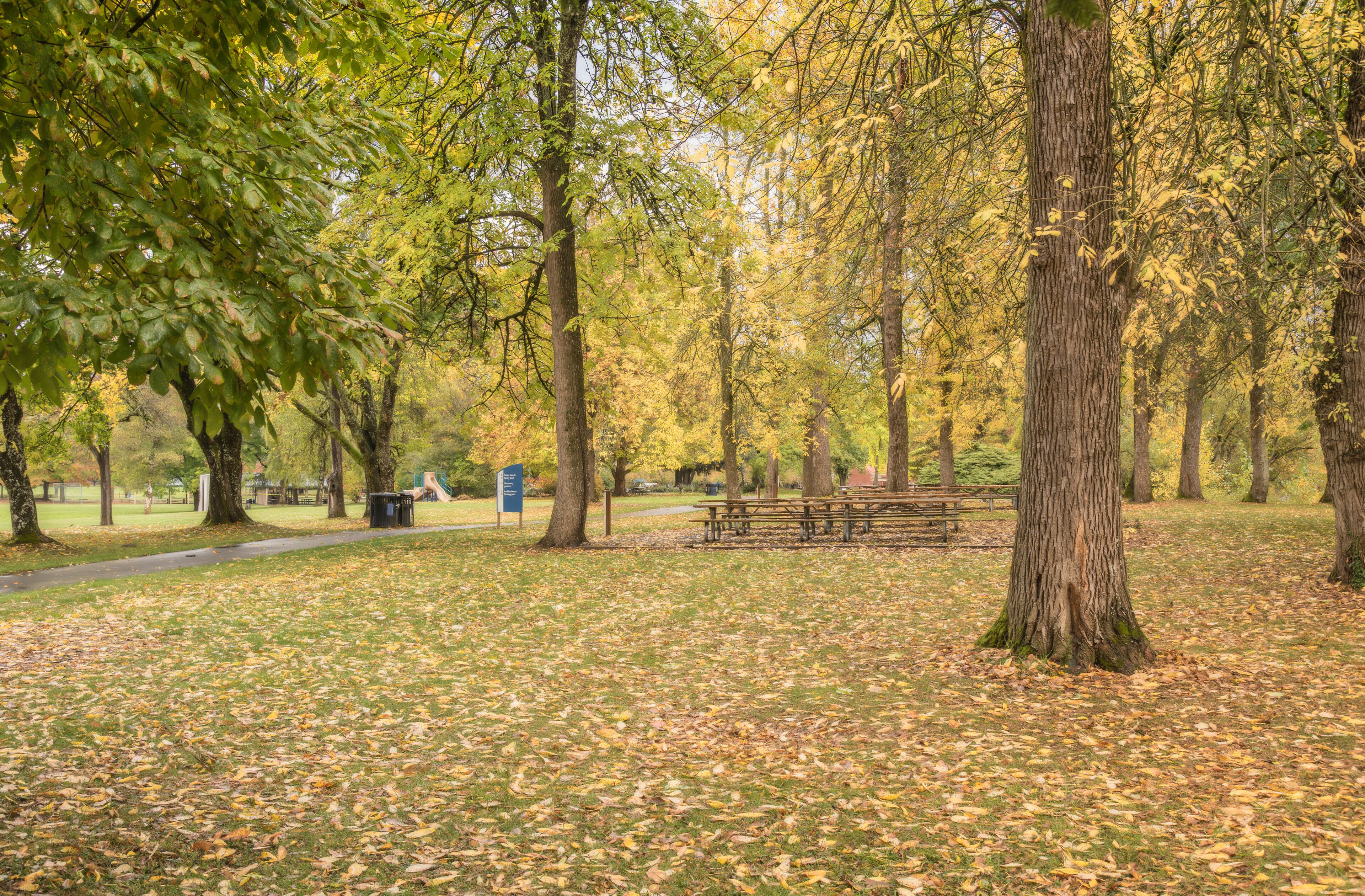 Blue Lake park and Autumn foliage.