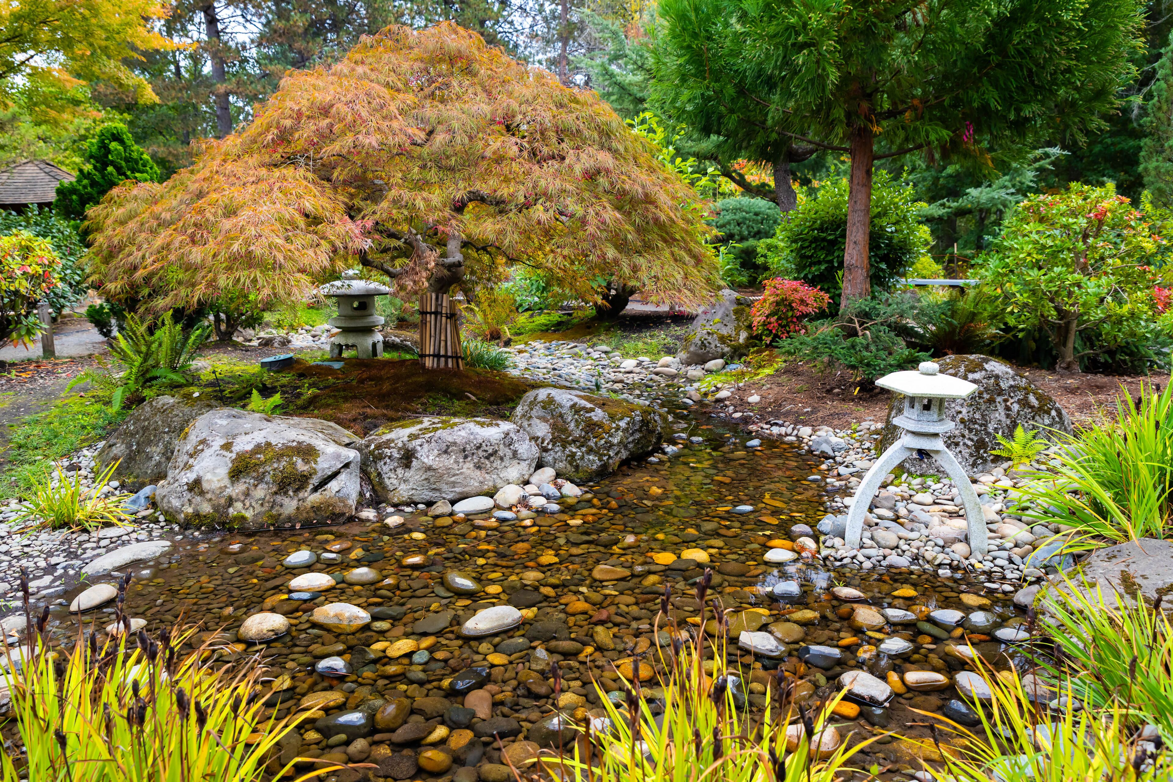 Gresham Japanese Garden Beautiful View at Fall