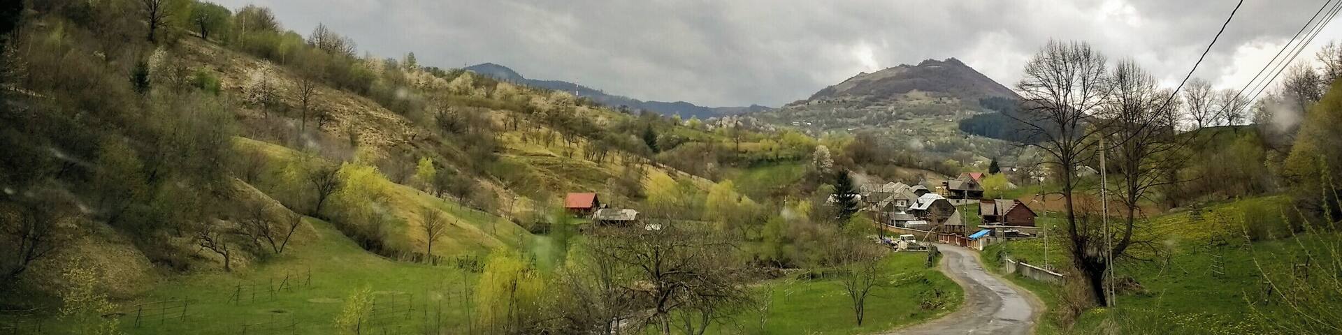 The same puffy-green-fairy-tale-ish feel
#SpringFun #OnTheRoad