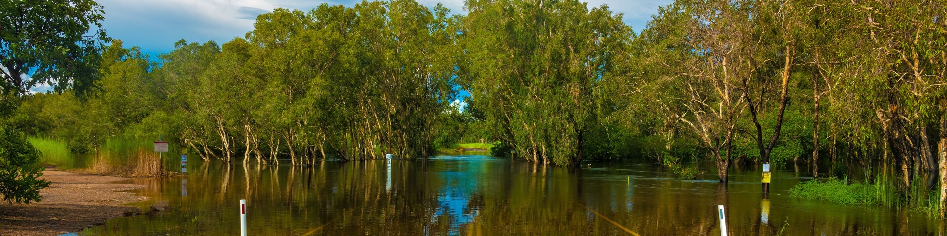 Una carretera inundada, con árboles y cielo despejado.