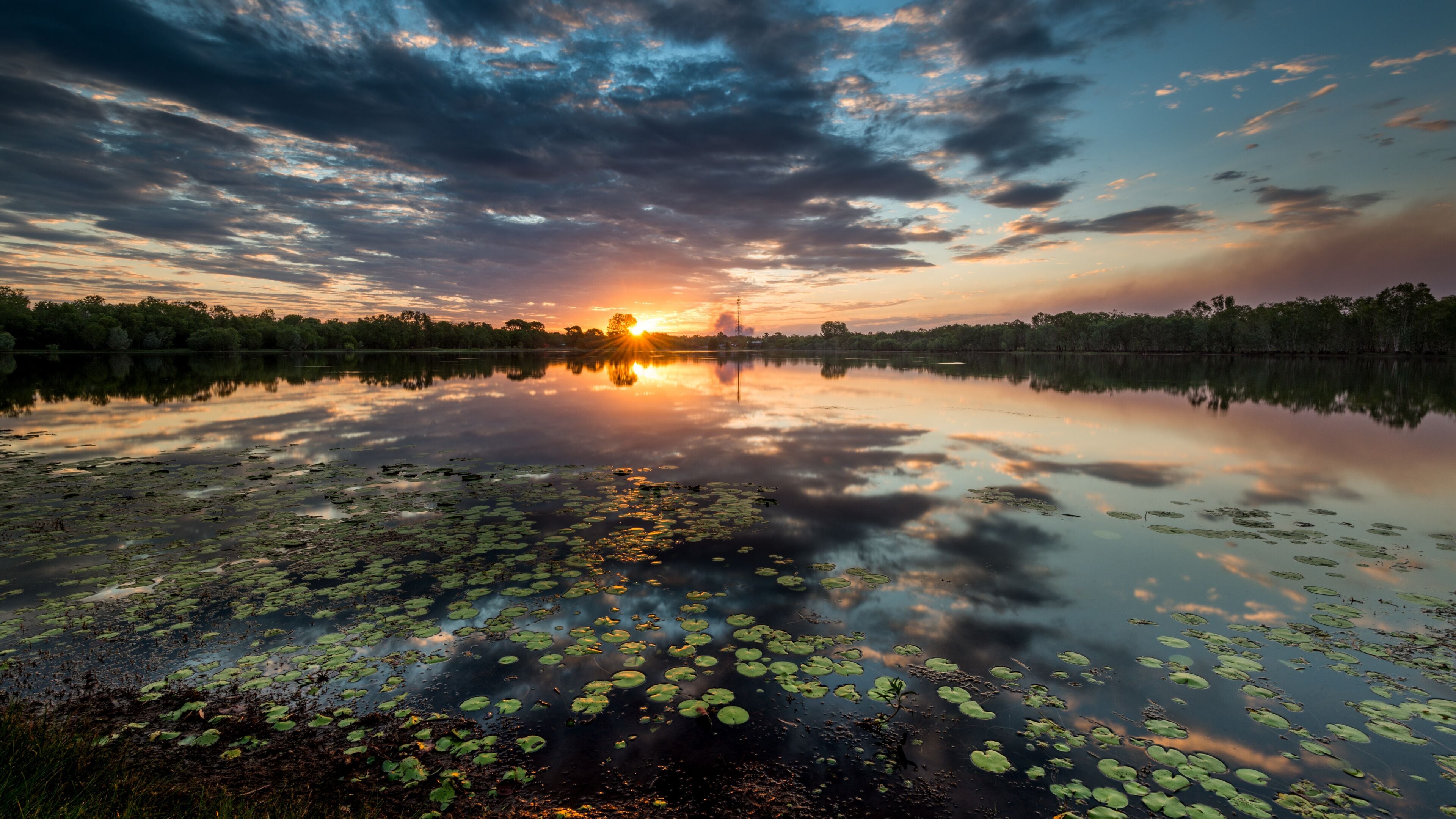 Um lago tranquilo ao pôr do sol, com folhas de vitória régia e o reflexo do céu.