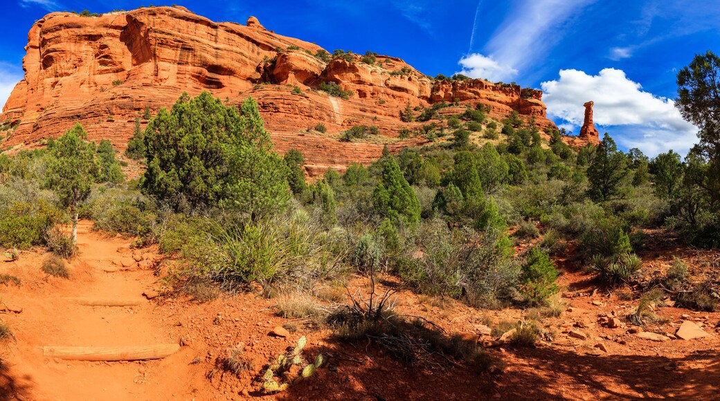Boynton Canyon Trail