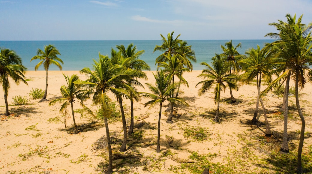 Aerial drone of Sandy beach with palm trees and turquoise water. Sri Lanka.