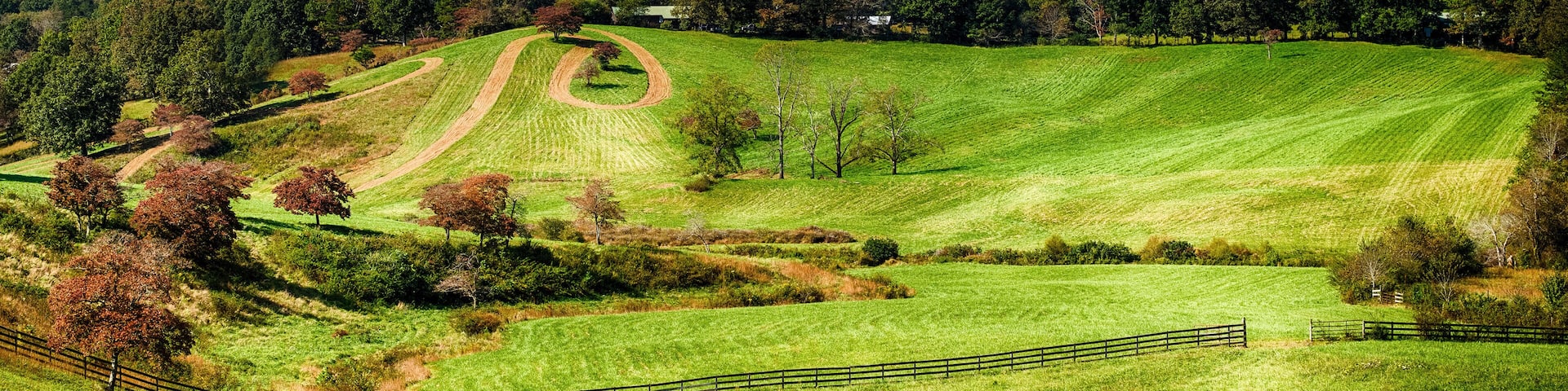 A green field with a dirt path, trees, and mountains in the background.