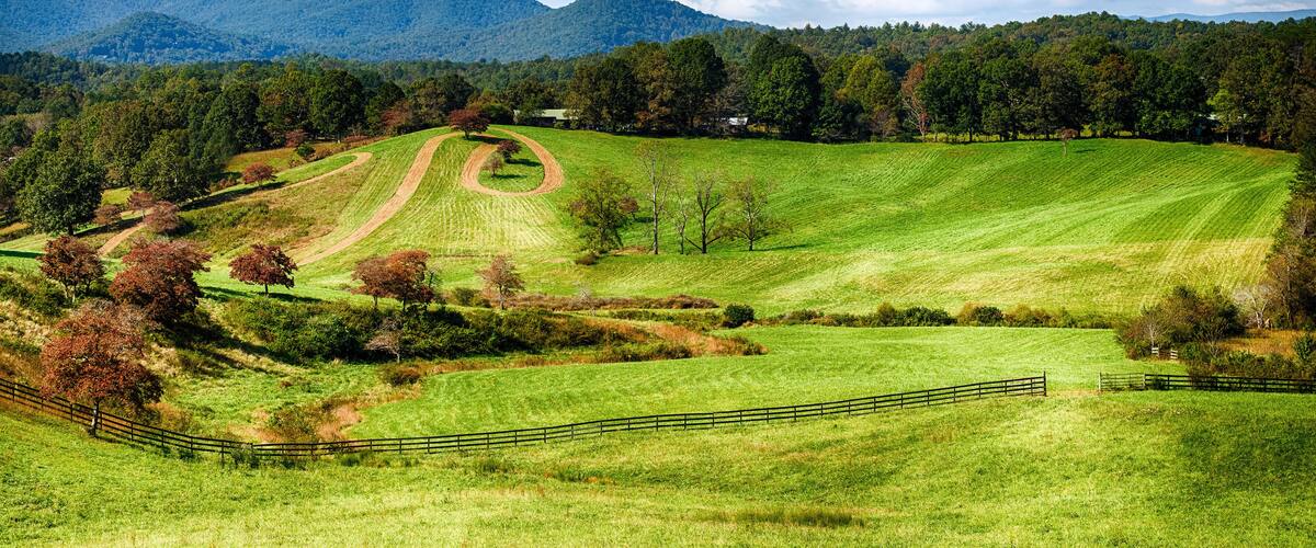 A green field with a dirt path, trees, and mountains in the background.