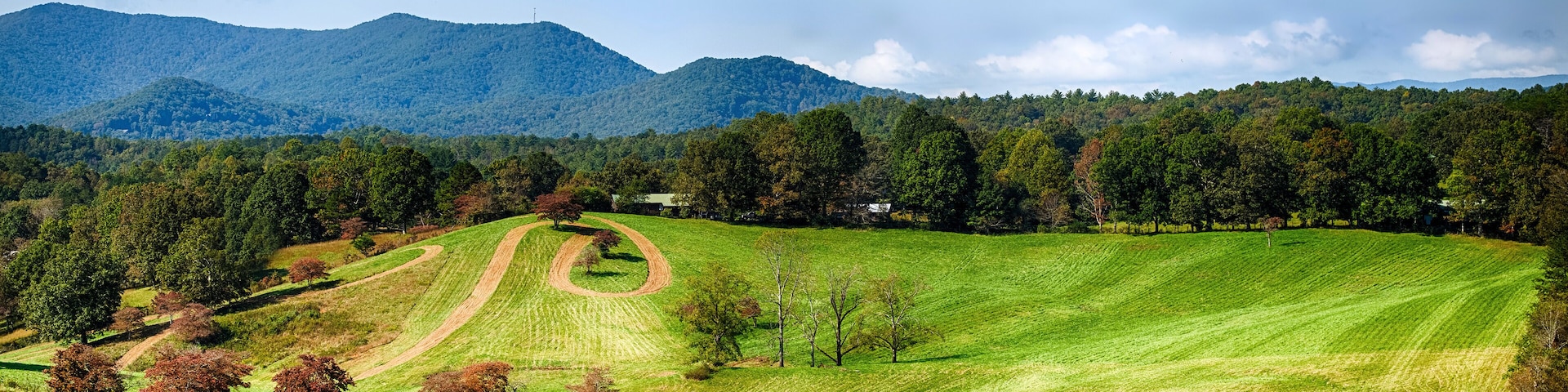 A green field with a dirt path, trees, and mountains in the background.