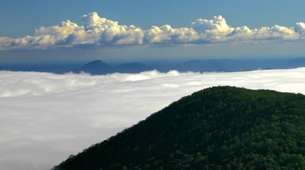Brasstown bald is a privately run state park. As a finishing point on the tour de Georgia it rises 4,784 feet and is the tallest mountain in Georgia. The final leg of this mountain is a 3 mile road, or hiking trail, that takes you the final 1,800 feet to the summit, often times called the wall because of how steep the road is.
The view from the top of Brasstown is spectacular. On a good day you can see Atlanta's skyline, about 80 miles away.
On this day it was completely overcast and foggy below, but as we rose to the summit of Brasstown bald we got through the top of the clouds to be able to see the tips of the clouds only.