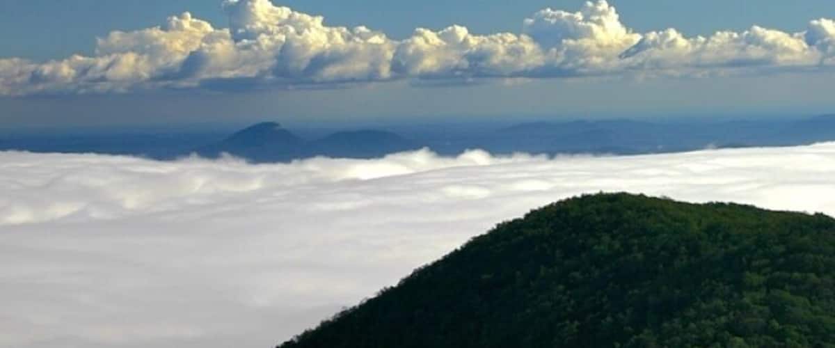 Brasstown bald is a privately run state park. As a finishing point on the tour de Georgia it rises 4,784 feet and is the tallest mountain in Georgia. The final leg of this mountain is a 3 mile road, or hiking trail, that takes you the final 1,800 feet to the summit, often times called the wall because of how steep the road is.
The view from the top of Brasstown is spectacular. On a good day you can see Atlanta's skyline, about 80 miles away.
On this day it was completely overcast and foggy below, but as we rose to the summit of Brasstown bald we got through the top of the clouds to be able to see the tips of the clouds only.
