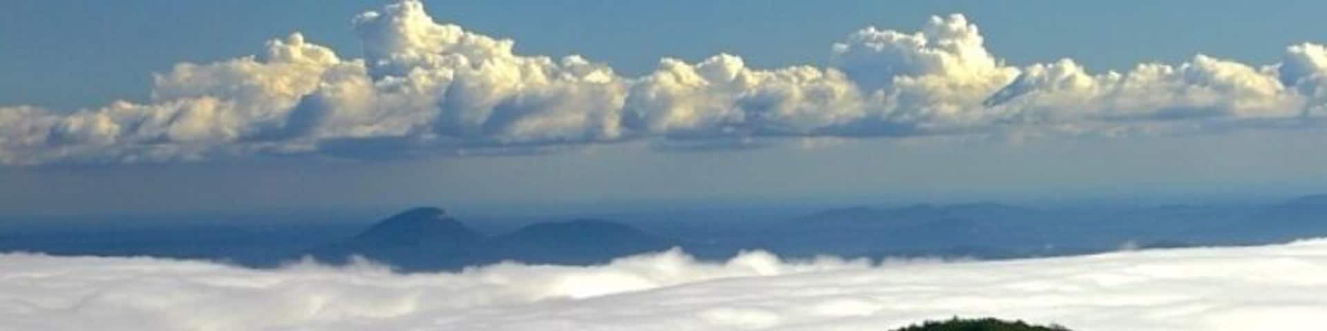 Brasstown bald is a privately run state park. As a finishing point on the tour de Georgia it rises 4,784 feet and is the tallest mountain in Georgia. The final leg of this mountain is a 3 mile road, or hiking trail, that takes you the final 1,800 feet to the summit, often times called the wall because of how steep the road is. 
The view from the top of Brasstown is spectacular. On a good day you can see Atlanta's skyline, about 80 miles away. 
On this day it was completely overcast and foggy below, but as we rose to the summit of Brasstown bald we got through the top of the clouds to be able to see the tips of the clouds only.