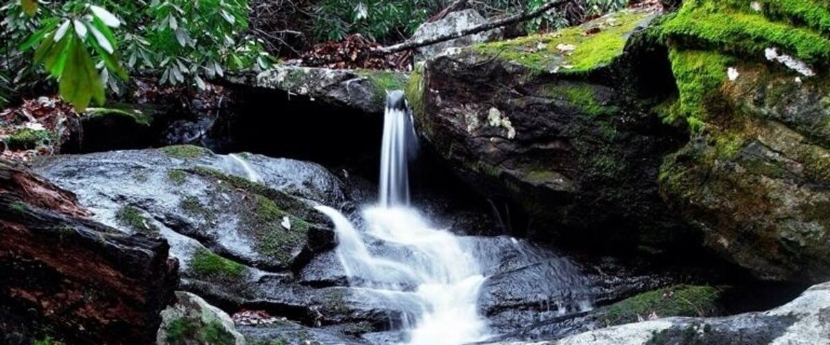This small waterfall is about halfway up Brasstown bald. You have to know its there, and climbing up the waterfall away from the trail it only gets better. If you come in February the waterfall is normally frozen and the rocks become thick sheets of ice.