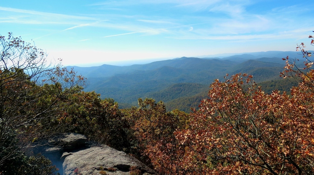 You never realize how out of shape you are until you start #hiking and feel exhausted 5 minutes into it. That's what Blood Mountain did to me. Gorgeous views in exchange for sore muscles and 10 buckets of sweat.
Worth it.