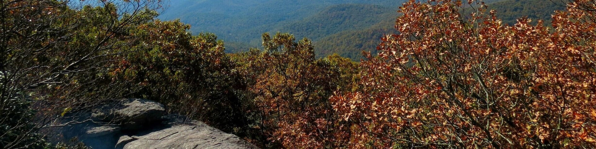 You never realize how out of shape you are until you start #hiking and feel exhausted 5 minutes into it. That's what Blood Mountain did to me. Gorgeous views in exchange for sore muscles and 10 buckets of sweat.
Worth it.
