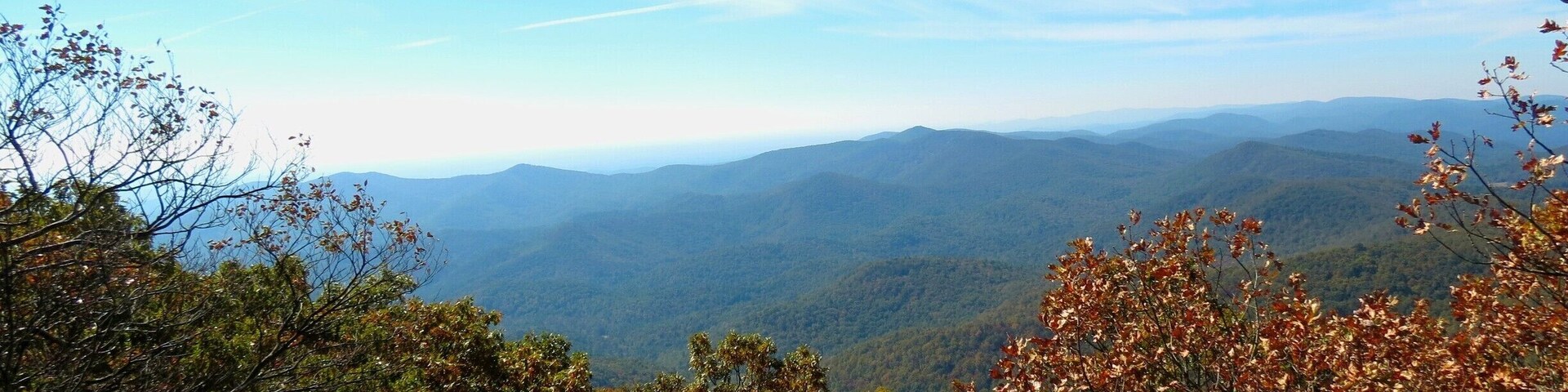 You never realize how out of shape you are until you start #hiking and feel exhausted 5 minutes into it. That's what Blood Mountain did to me. Gorgeous views in exchange for sore muscles and 10 buckets of sweat.
Worth it.