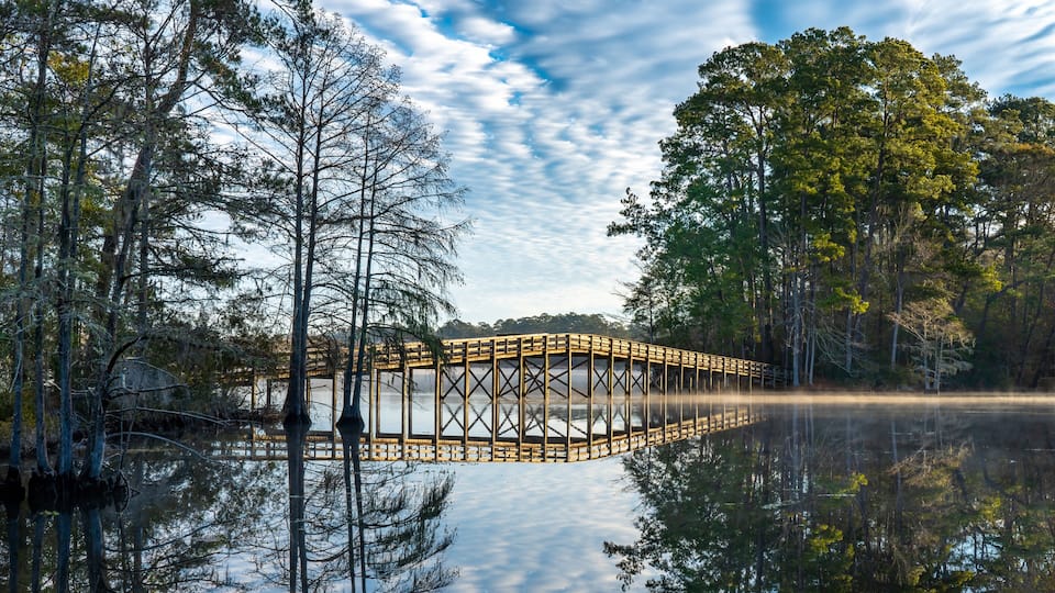 A wooden bridge over a calm lake surrounded by trees.