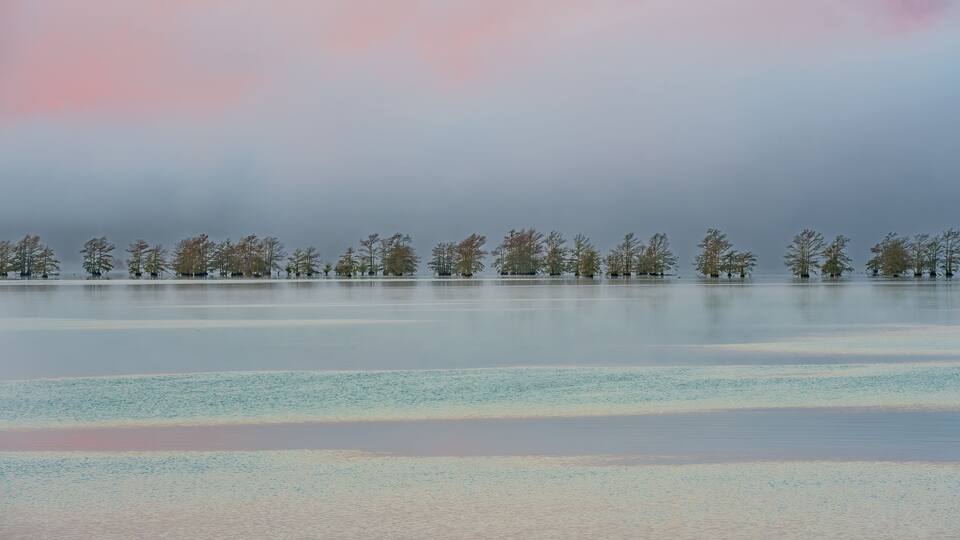 A calm lake with a row of trees in the background and a cloudy sky.