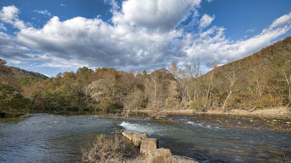 A river flowing through a forested valley with a rocky outcrop in the foreground.