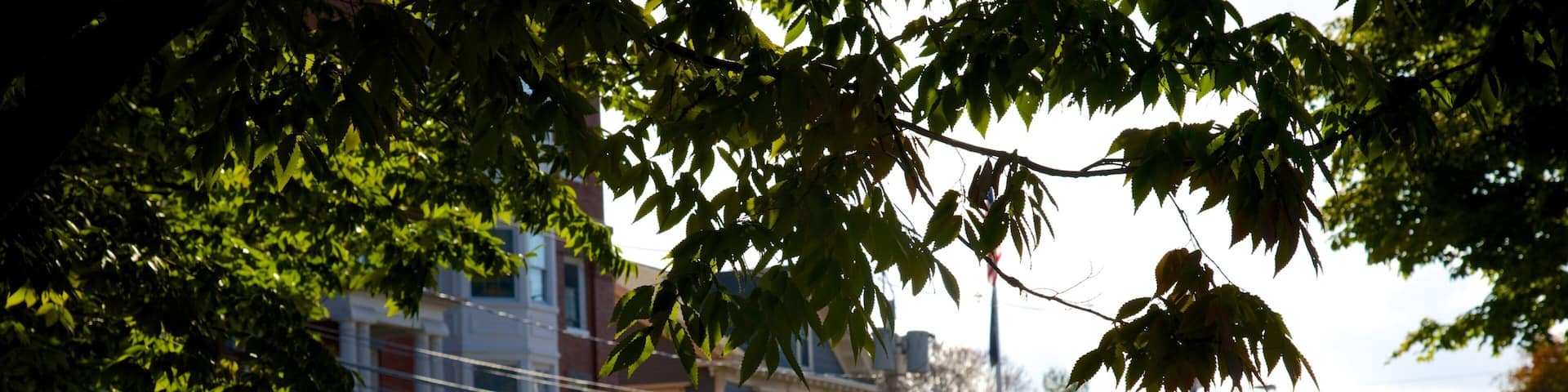 Exeter as well as a small group of people