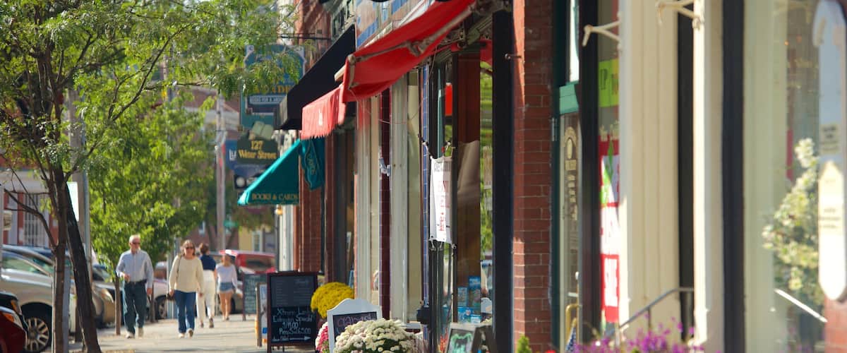 A street lined with shops, including a bookstore and a military history shop.