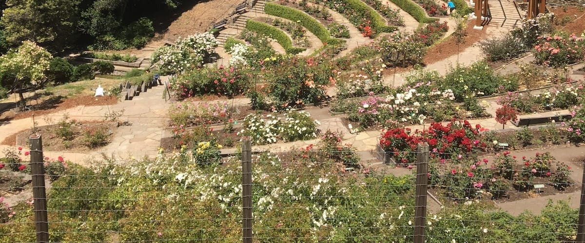 Berkeley