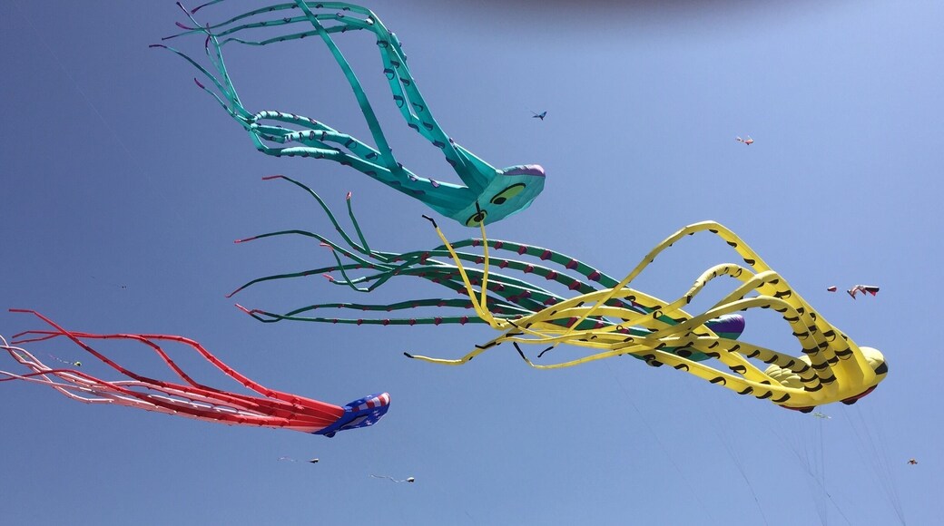 A gorgeous display of octopus kites during the kite festival.