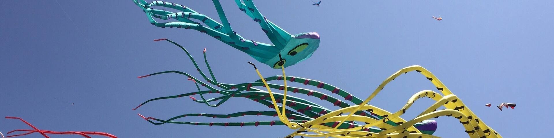 A variety of colorful kites flying against a clear blue sky.