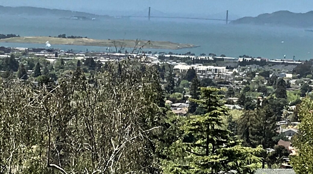 #indianrock #goldengatebridge