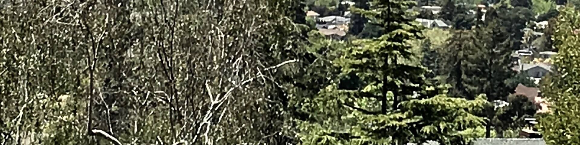 #indianrock #goldengatebridge