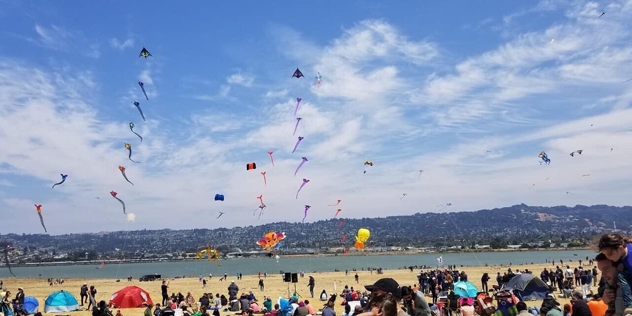 Berkeley kite fest