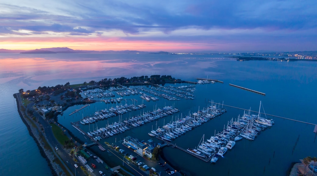 A marina with numerous boats docked, surrounded by calm waters and a distant sunset.