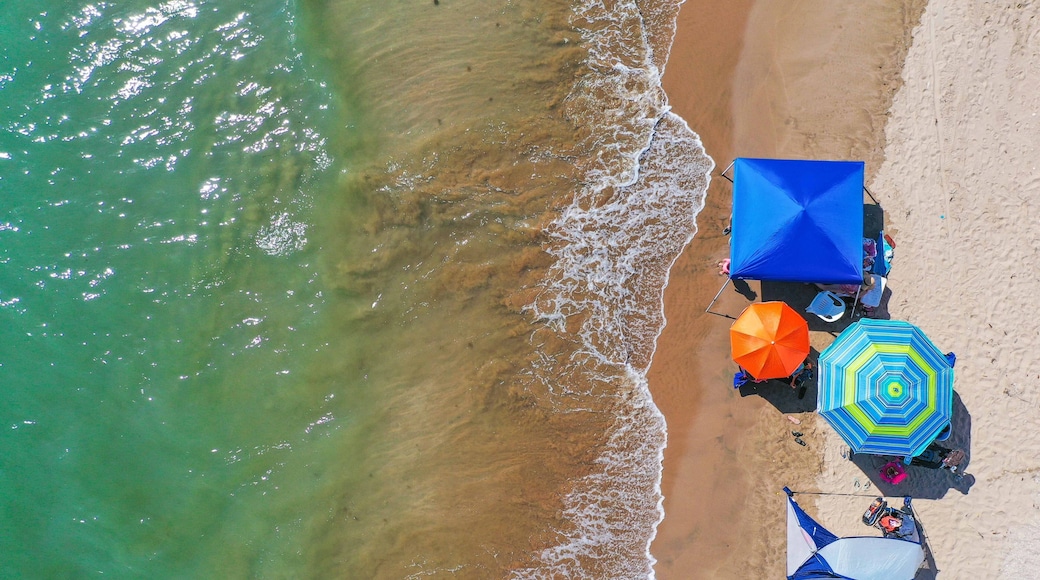 A beach with a blue umbrella, a multicolored umbrella, and a white canopy.
