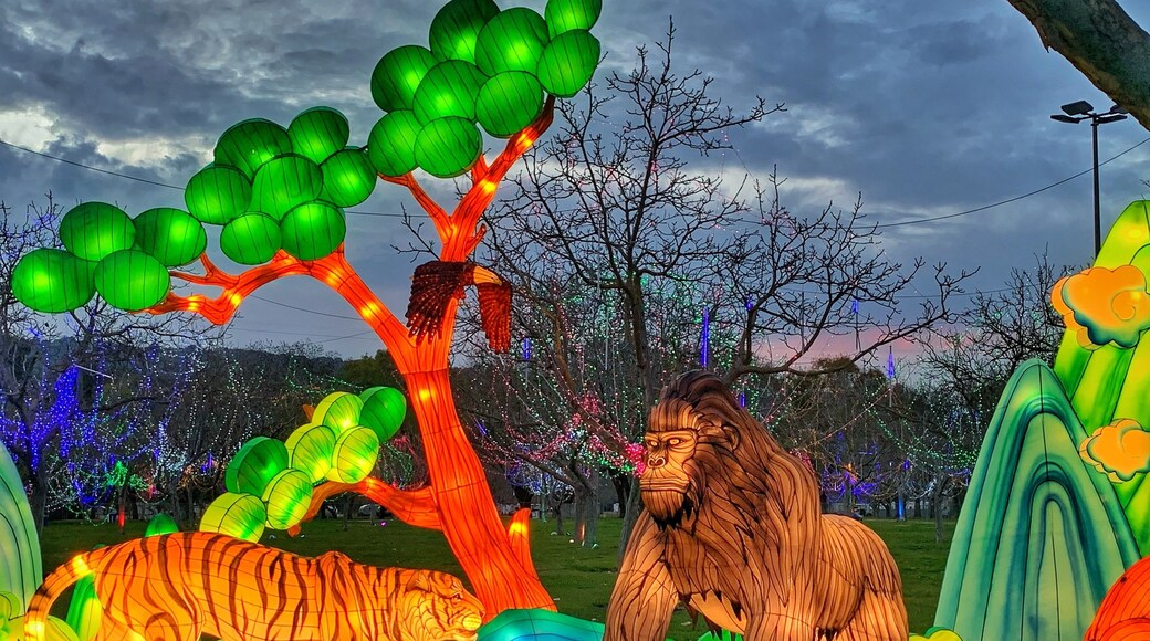 Beautiful winter lantern festival in Pleasanton. Fun for the whole family.