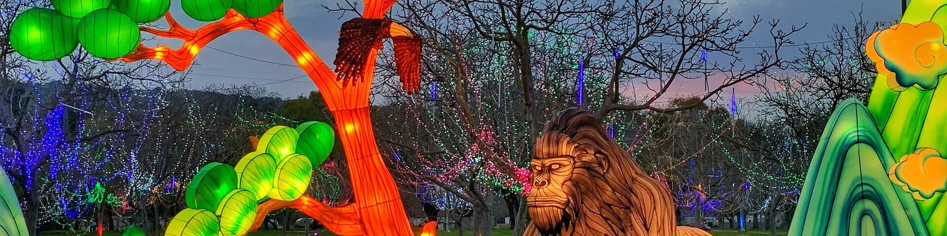 Beautiful winter lantern festival in Pleasanton. Fun for the whole family.