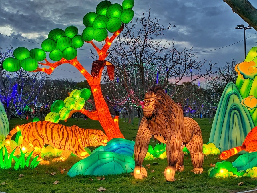 Beautiful winter lantern festival in Pleasanton. Fun for the whole family.