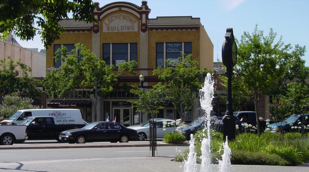 Pleasanton welches beinhaltet Beschilderung, Straßenszenen und historische Architektur