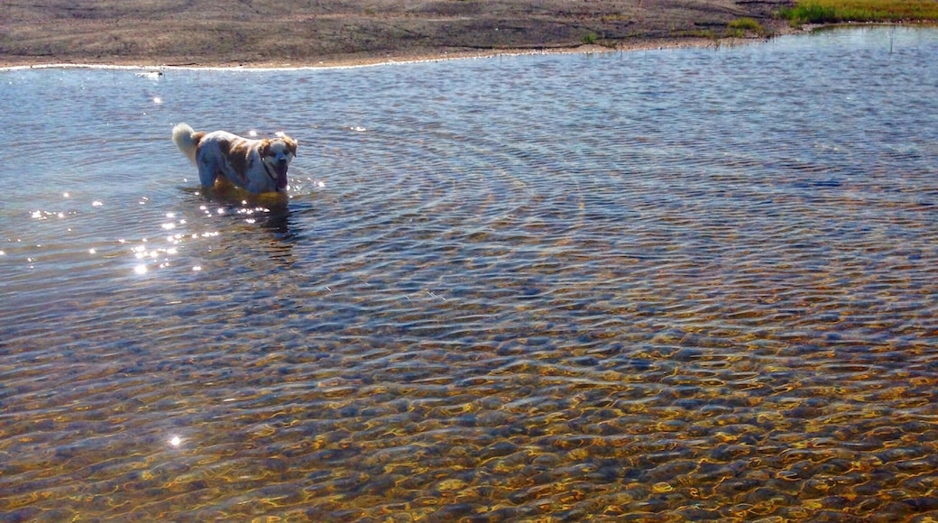 This former quarry is now a hundred-plus acre park managed by the town of Fairborn. There are walking and horseback trails and you can easily run at least 3 miles along the perimeter path. The center of the old quarry is a bizarre flat open expanse quite uncharacteristic of this wooded area of Ohio. Rainfall has created several shallow ponds of crystal clear water that is a delight for wading. This park is definitely a hidden gem of Fairborn!