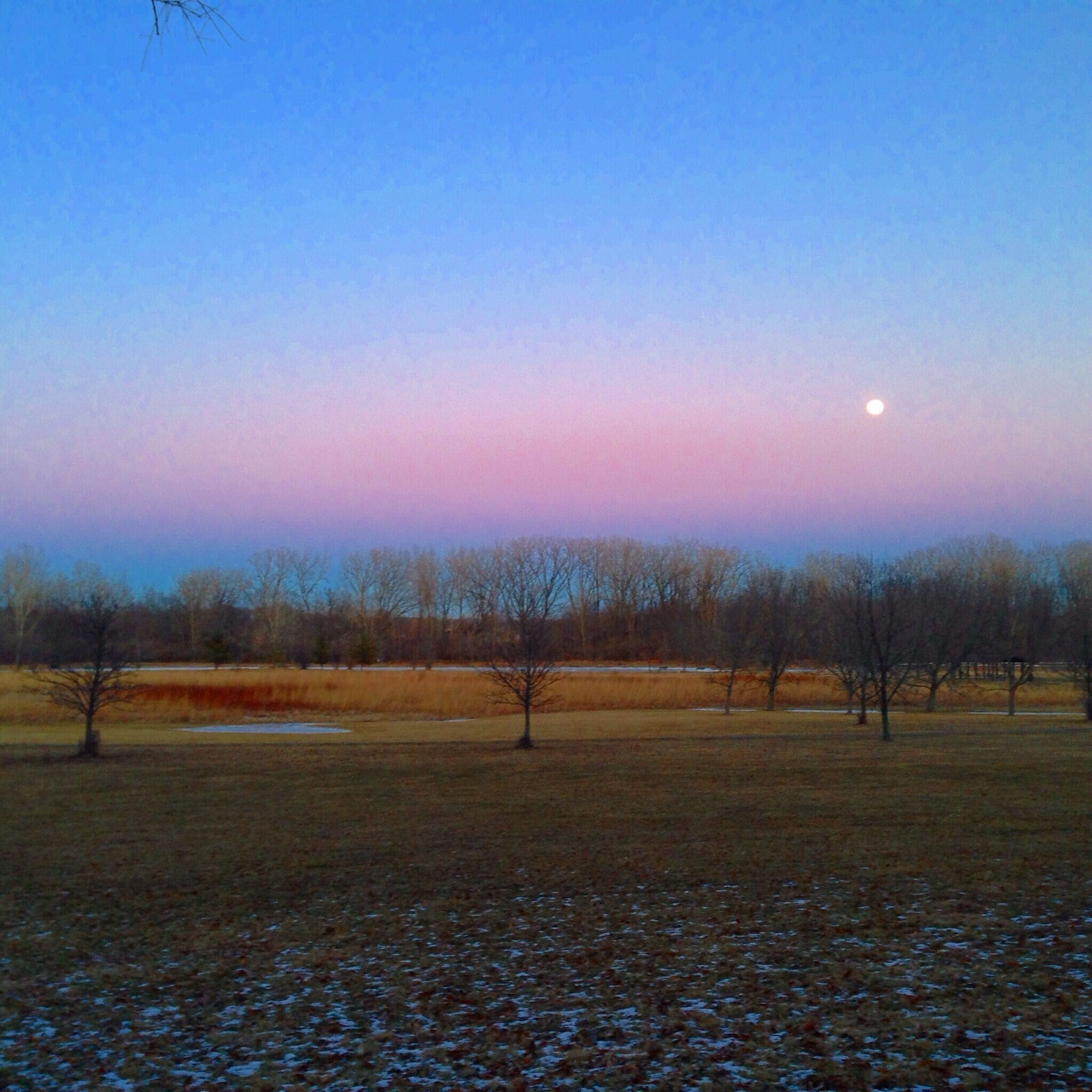Tucked way back behind the main sports fields and playgrounds of the community park is another section with a pond and walking path and these types of moonrise.