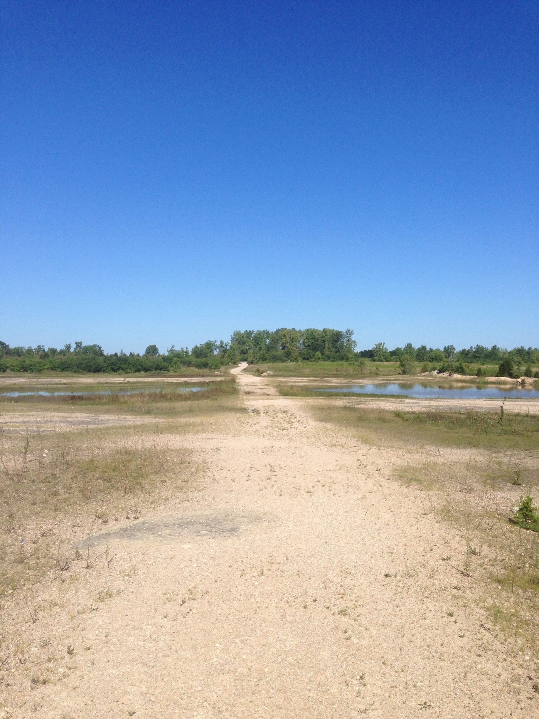 This former quarry sits in the middle of the rolling wooded hills of Ohio, so it's bizarre to walk through the center of the carved-out bowl where there is nothing but grass and rock and clear blue sky.  Rain has collected into shallow ponds with waving marsh grasses, which the pups love.  The scenery reminds me of the Western plains, so it's a nice treasure to find in the middle of farmland Ohio.