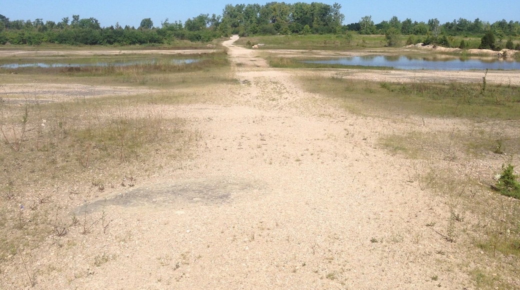 This former quarry sits in the middle of the rolling wooded hills of Ohio, so it's bizarre to walk through the center of the carved-out bowl where there is nothing but grass and rock and clear blue sky. Rain has collected into shallow ponds with waving marsh grasses, which the pups love. The scenery reminds me of the Western plains, so it's a nice treasure to find in the middle of farmland Ohio.